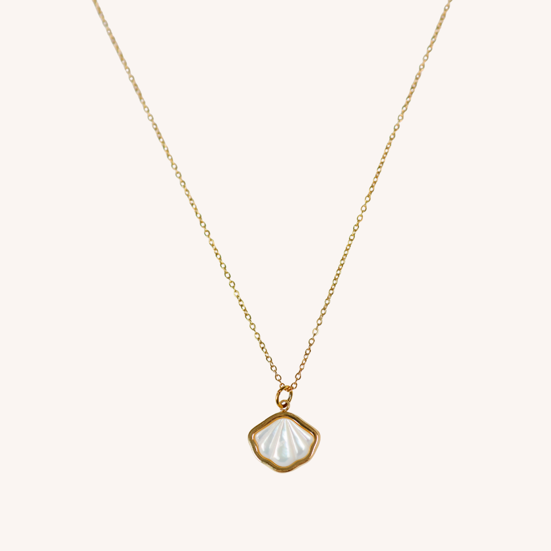 Gold necklace with a shell pendant on a white background